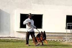 Bomb Sniffer Nachan Dog Trainer Photo