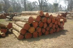 Pukharaj Timber Traders in Indore