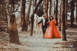 Shadowgraphy Studio | Wedding Photographer in Indore Photo