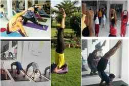 Pre Cure Yoga Centre in Indore