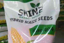 Shine Brand Seeds Photo