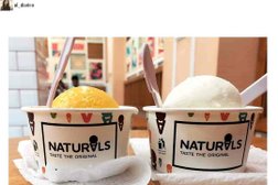 Natural Ice Creams Photo